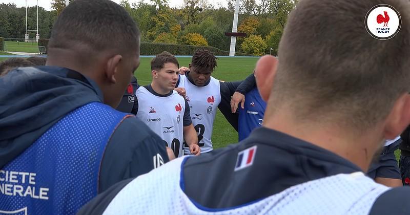 RUGBY. France/Argentine. Des Bleus en démonstration ou bousculés ? Les pronos de la rédaction