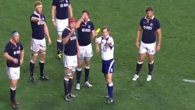 VIDÉO. INSOLITE. Springboks - Écosse : L'arbitre sort un carton jaune... mais se trompe de joueur