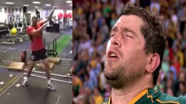 VIDEO. Insolite - Springboks : Willem Alberts s'éclate à la muscu