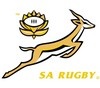 Pieter de Villiers consultant pour les Springboks 