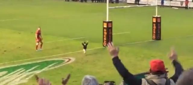 VIDEO. Top 14 : Le fils de Matt Giteau lance la Ola au stade Mayol après RCT - MHR