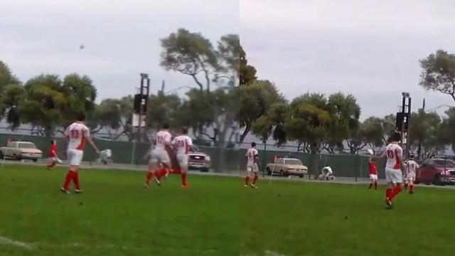 VIDEO. INSOLITE. En pleine balade, une cycliste se fait assommer par un ballon de rugby