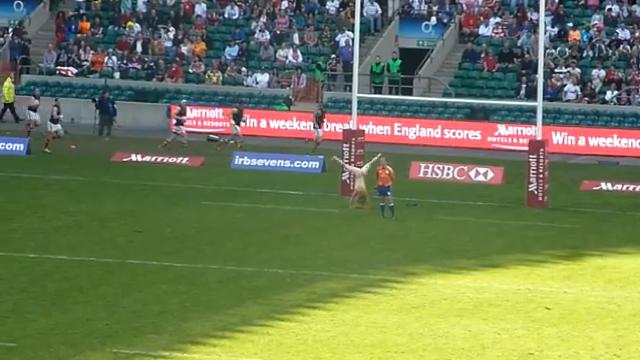 FLASHBACK VIDEO. 2012. Quand une jolie streakeuse s'invite à Twickenham pour le plus grand plaisir des supporters