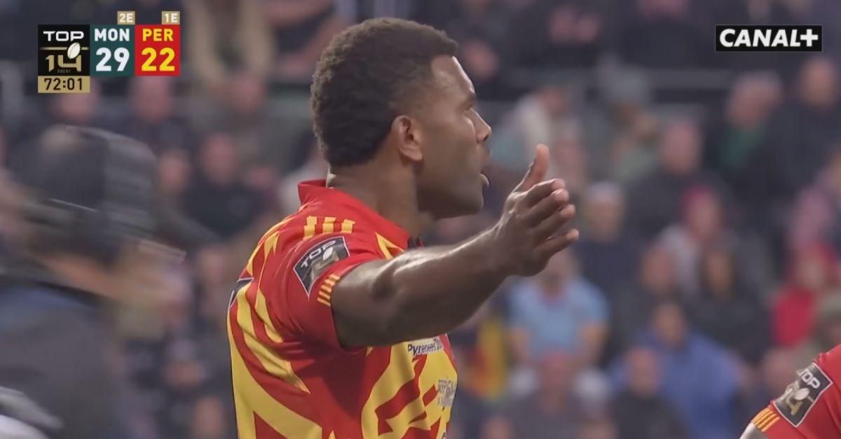 USAP décimée : 21 absents, 16 blessés, la composition casse-tête de Perpignan USAP décimée : 21 absents, 16 blessés, la composition casse-tête de Perpignan