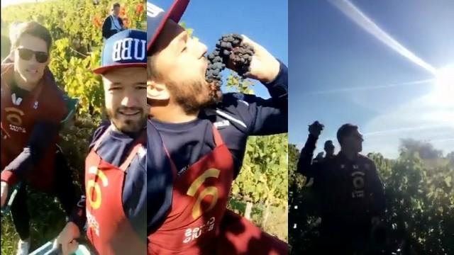 VIDÉO. Top 14 - Vendanges et lancers de grappes au programme des joueurs de l'UBB