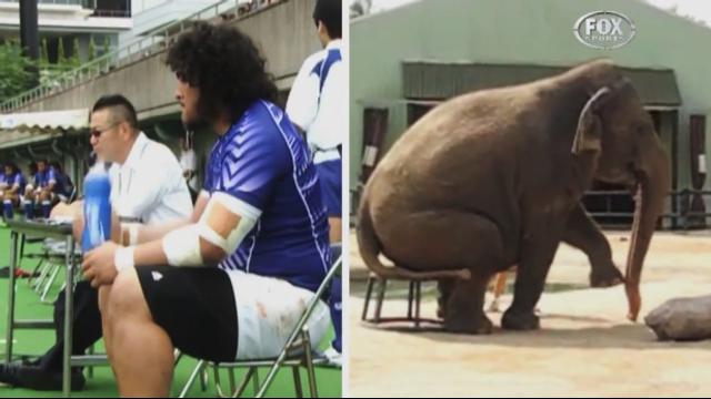 VIDÉO. Le Top 5 des physiques les plus monstrueux du rugby moderne (130 kilos et plus !)