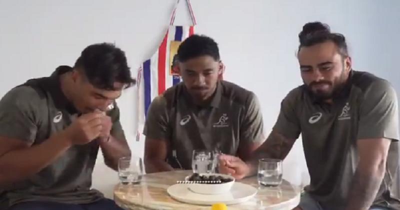 WTF. ''Bon appétit'' : quand les Wallabies notent nos bons vieux escargots [VIDÉO]