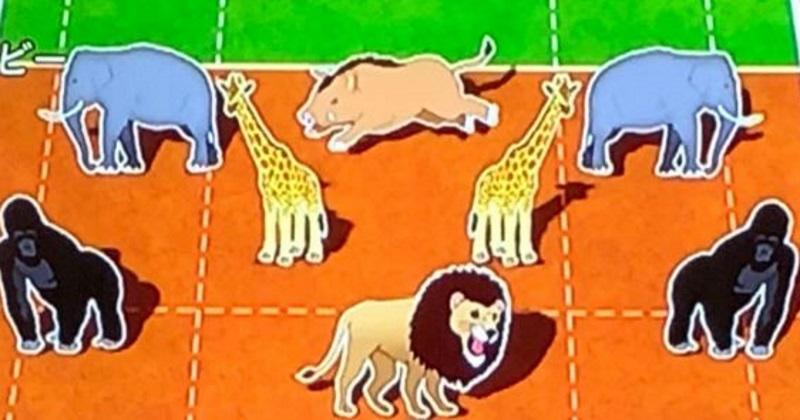 WTF : une télévision japonaise compare les postes du rugby... à des animaux !