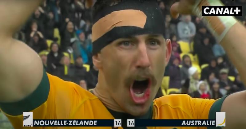 Tournée d'été - Les Wallabies, petit frère du XV de France ?