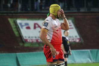 Pro D2 - FC Grenoble : où s'arrêtera l'ascension de Mickaël Capelli ?