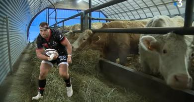 RUGBY. Equipe de France. Joueur professionnel et éleveur bovin, l'incroyable vie de Jérôme Rey