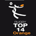 Les demi-finales du Top 14 à Lille en 2013 ? 