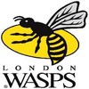Southwell aux Wasps