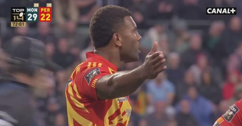 USAP décimée : 21 absents, 16 blessés, la composition casse-tête de Perpignan