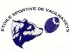 Etoile Sportive Vaulnaveys